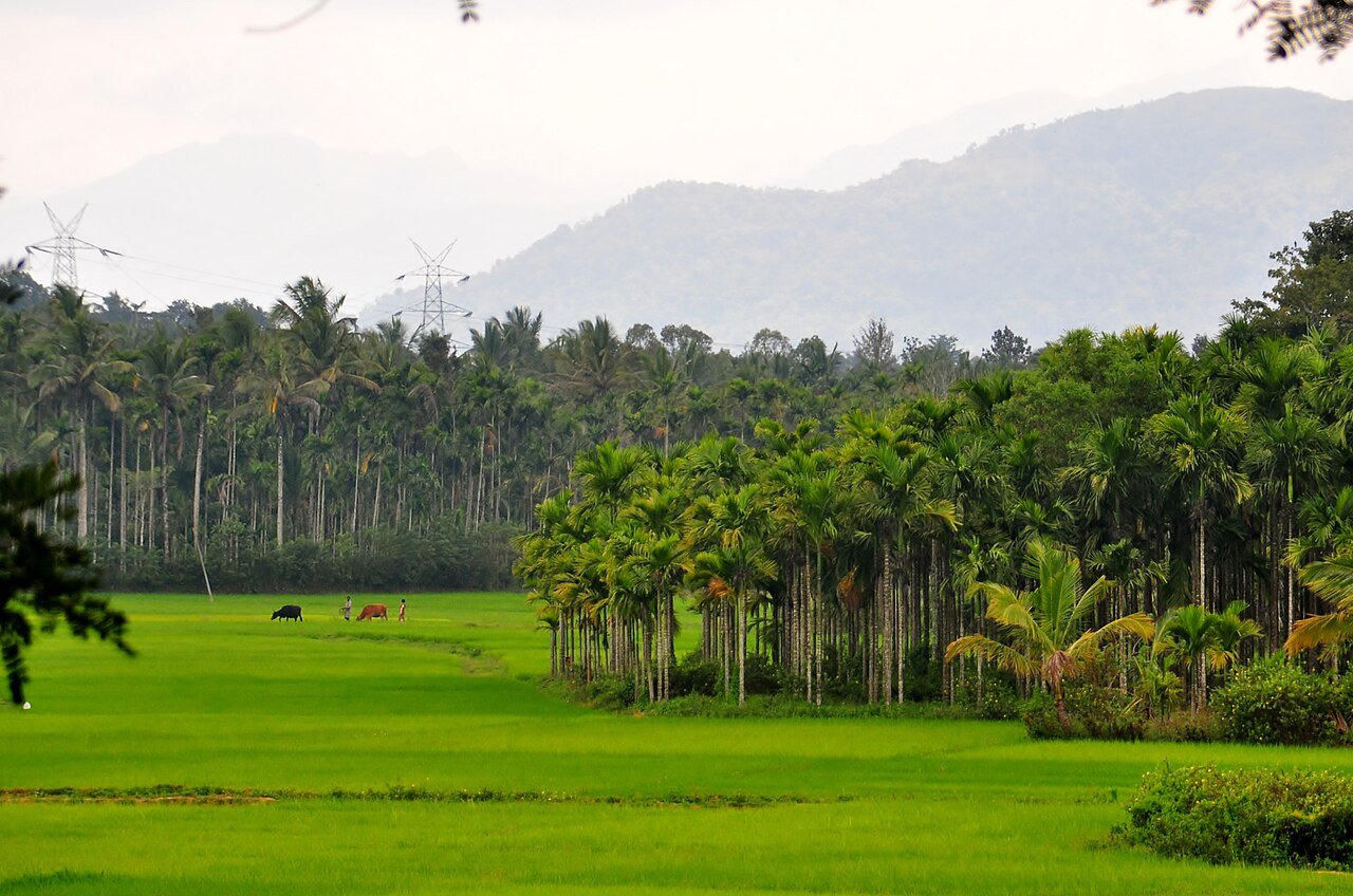 Kerala Tourist Places